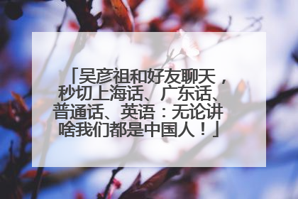 吴彦祖和好友聊天，秒切上海话、广东话、普通话、英语：无论讲啥我们都是中国人！