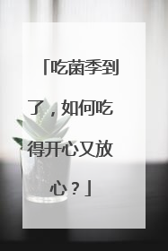吃菌季到了，如何吃得开心又放心？