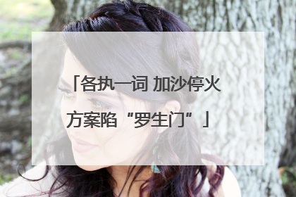 各执一词 加沙停火方案陷“罗生门”
