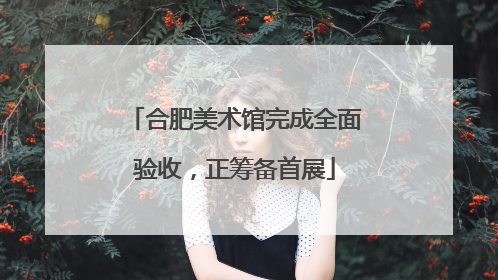 合肥美术馆完成全面验收，正筹备首展