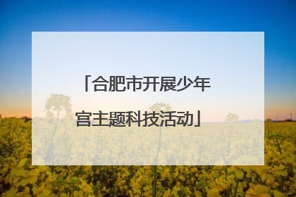 合肥市开展少年宫主题科技活动