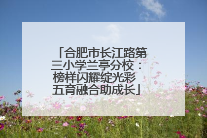 合肥市长江路第三小学兰亭分校：榜样闪耀绽光彩 五育融合助成长