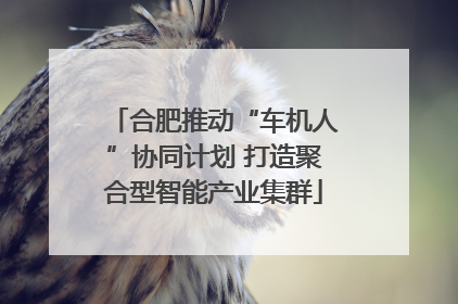 合肥推动“车机人”协同计划 打造聚合型智能产业集群