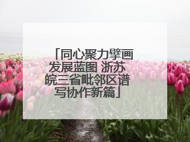同心聚力擘画发展蓝图 浙苏皖三省毗邻区谱写协作新篇
