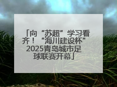 向“苏超”学习看齐！“海川建设杯”2025青岛城市足球联赛开幕
