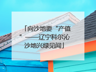 向沙地要“产值”——辽宁科尔沁沙地兴绿见闻