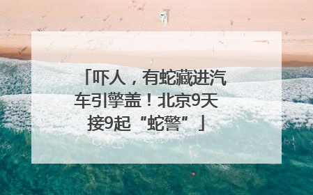 吓人，有蛇藏进汽车引擎盖！北京9天接9起“蛇警”