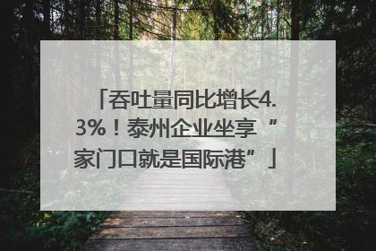 吞吐量同比增长4.3%！泰州企业坐享“家门口就是国际港”