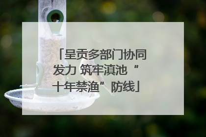 呈贡多部门协同发力 筑牢滇池“十年禁渔”防线