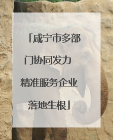 咸宁市多部门协同发力 精准服务企业落地生根