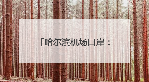 哈尔滨机场口岸：今年以来出入境外籍人员同比增49%