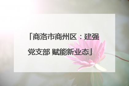 商洛市商州区：建强党支部 赋能新业态