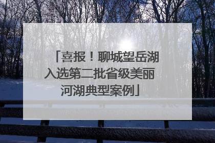 喜报！聊城望岳湖入选第二批省级美丽河湖典型案例