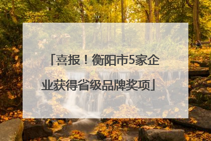 喜报！衡阳市5家企业获得省级品牌奖项
