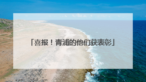 喜报！青浦的他们获表彰