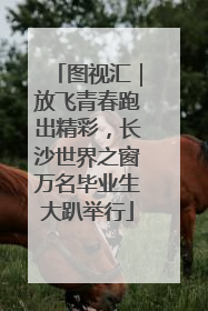 图视汇｜放飞青春跑出精彩，长沙世界之窗万名毕业生大趴举行