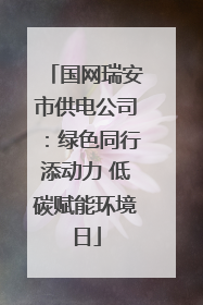 国网瑞安市供电公司：绿色同行添动力 低碳赋能环境日