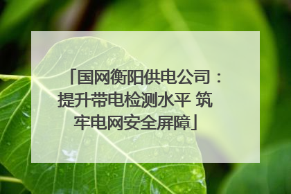 国网衡阳供电公司：提升带电检测水平 筑牢电网安全屏障