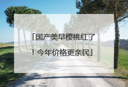 国产美早樱桃红了！今年价格更亲民