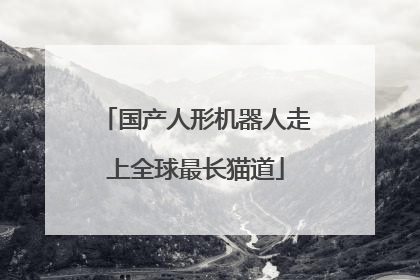 国产人形机器人走上全球最长猫道