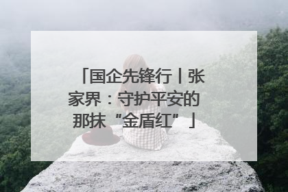 国企先锋行丨张家界：守护平安的那抹“金盾红”