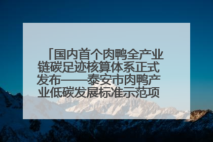 国内首个肉鸭全产业链碳足迹核算体系正式发布——泰安市肉鸭产业低碳发展标准示范项目顺利通过验收