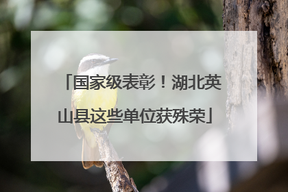 国家级表彰！湖北英山县这些单位获殊荣