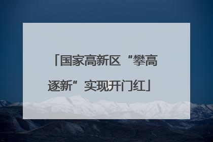 国家高新区“攀高逐新”实现开门红