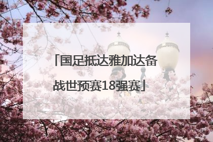国足抵达雅加达备战世预赛18强赛