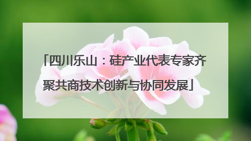 四川乐山：硅产业代表专家齐聚共商技术创新与协同发展