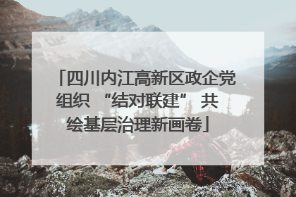 四川内江高新区政企党组织 “结对联建” 共绘基层治理新画卷