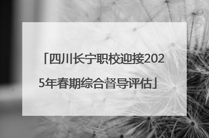 四川长宁职校迎接2025年春期综合督导评估