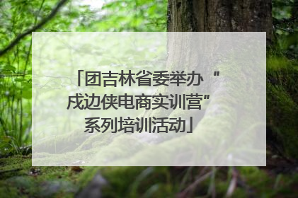 团吉林省委举办“戍边侠电商实训营”系列培训活动