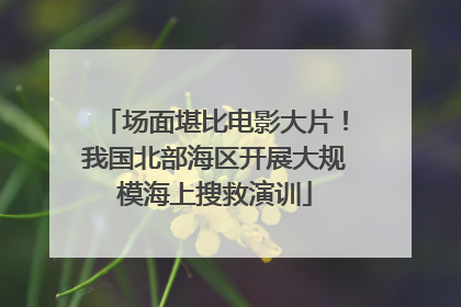 场面堪比电影大片！我国北部海区开展大规模海上搜救演训