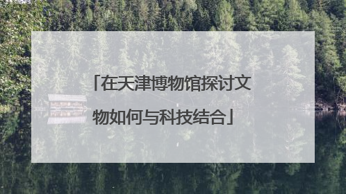 在天津博物馆探讨文物如何与科技结合