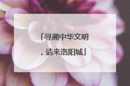 寻溯中华文明，请来洛阳城