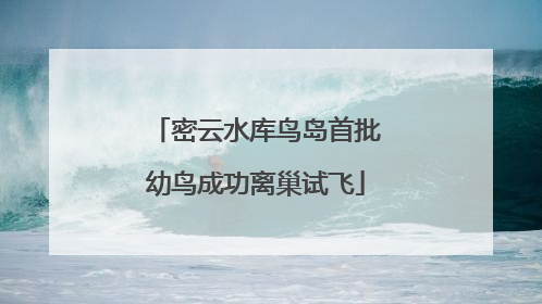 密云水库鸟岛首批幼鸟成功离巢试飞