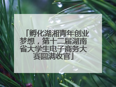孵化湖湘青年创业梦想，第十二届湖南省大学生电子商务大赛圆满收官