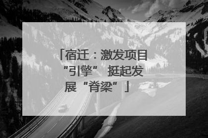 宿迁：激发项目“引擎” 挺起发展“脊梁”