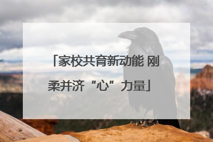 家校共育新动能 刚柔并济“心”力量