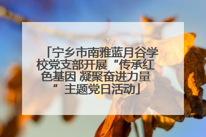 宁乡市南雅蓝月谷学校党支部开展“传承红色基因 凝聚奋进力量”主题党日活动