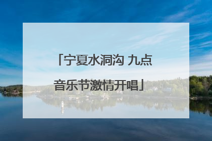 宁夏水洞沟 九点音乐节激情开唱