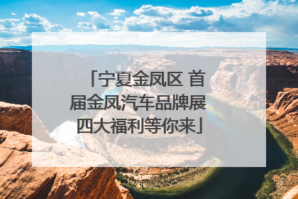 宁夏金凤区 首届金凤汽车品牌展四大福利等你来