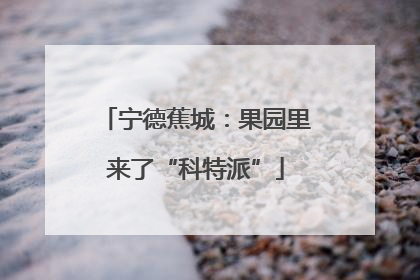 宁德蕉城：果园里来了“科特派”