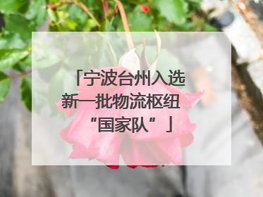 宁波台州入选新一批物流枢纽“国家队”