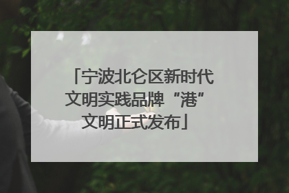 宁波北仑区新时代文明实践品牌“港”文明正式发布