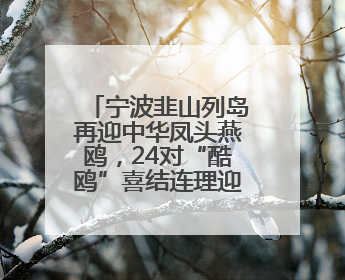 宁波韭山列岛再迎中华凤头燕鸥，24对“酷鸥”喜结连理迎接新生命