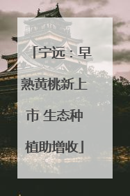 宁远：早熟黄桃新上市 生态种植助增收