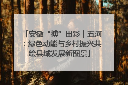 安徽“搏”出彩｜五河：绿色动能与乡村振兴共绘县域发展新图景