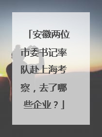 安徽两位市委书记率队赴上海考察，去了哪些企业？